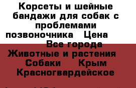 Корсеты и шейные бандажи для собак с проблемами позвоночника › Цена ­ 2 500 - Все города Животные и растения » Собаки   . Крым,Красногвардейское